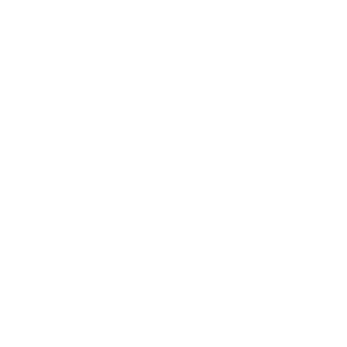 The 420 Place
